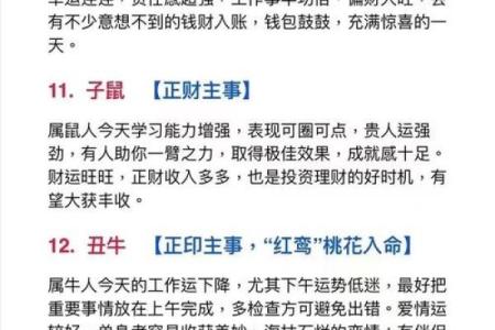 八字看属相