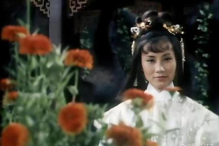赵敏紫薇斗数