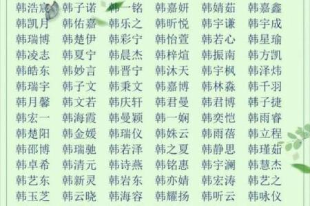 给宝宝起名测试打分