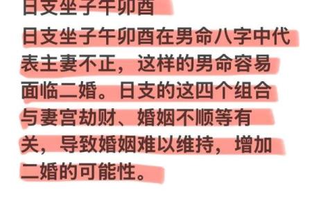 子午卯酉八字