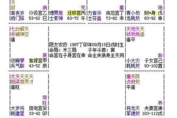 紫薇斗数好学不
