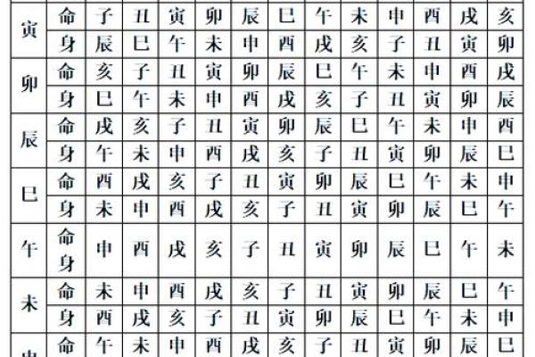紫薇斗数身宫未