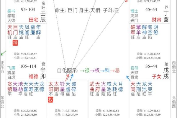 紫薇斗数先天命盘怎么看