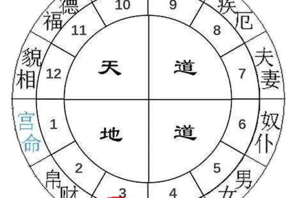面相算命图解十二宫之：兄弟宫