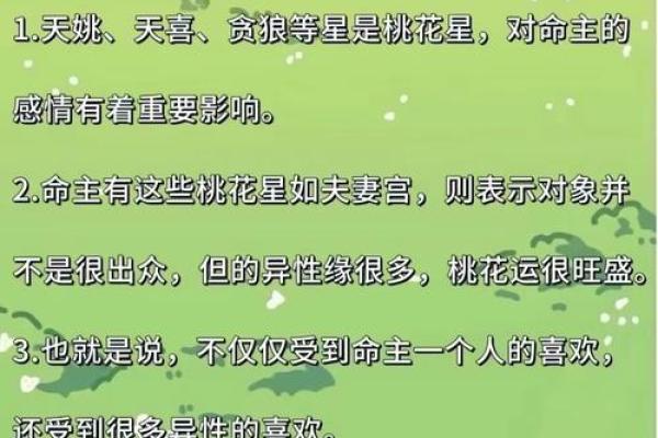 紫薇斗数解释意思