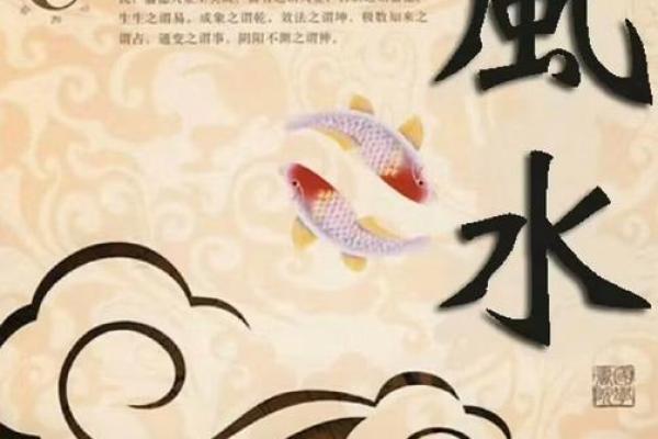 带旺家的风水，很多人却忽略了