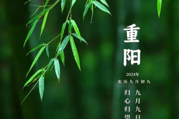 重阳节祭祀风水禁忌，一定要懂