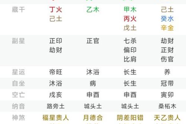 八字丁巳日