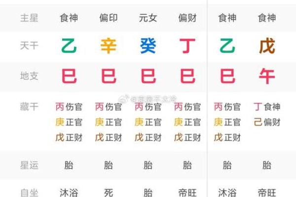 八字丁巳日