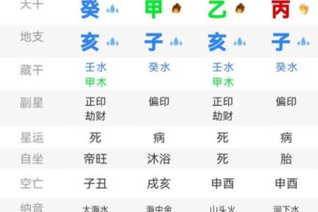 八字排盘后分析教程