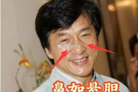 相面算命看见鼻孔好吗
