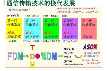 甲申日出生八字解析与未来发展趋势