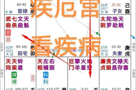 紫微斗数诸星落诸宫之，其它星疾厄宫详解