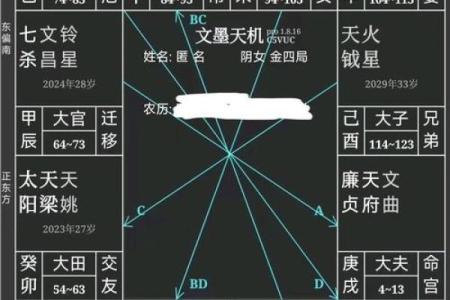 美貌男紫薇斗数