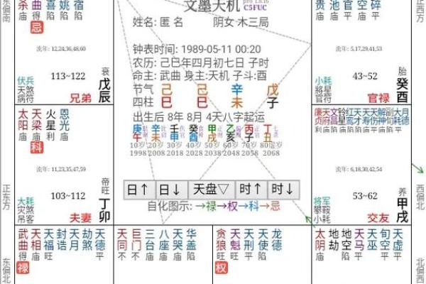 紫微斗数置闰 紫微斗数术语？