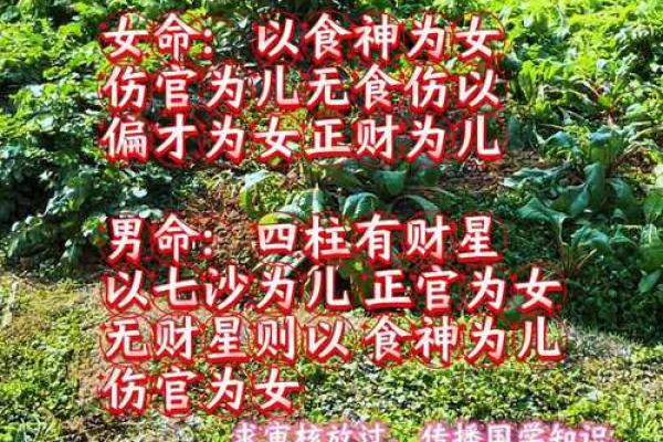 什么样的风水容易出不孝子女