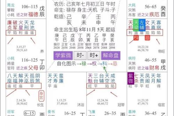 惯索紫薇斗数