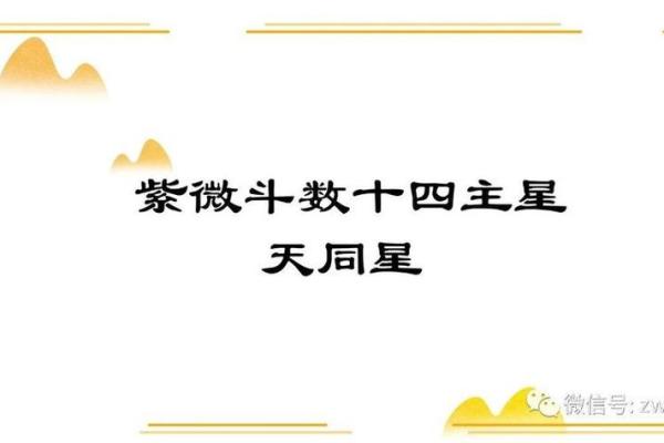紫微斗数十四主星:天同星概论 紫微斗数十四主星:天同星概论