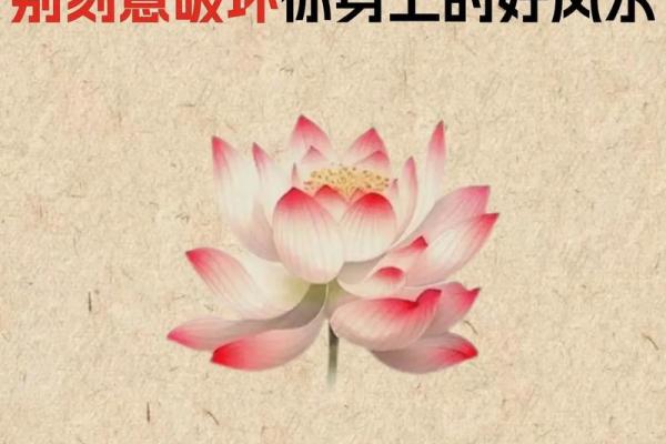 风水之图文并茂，玄机一看就懂