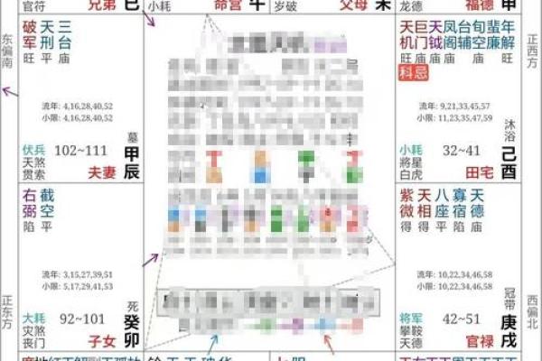 解紫薇斗数