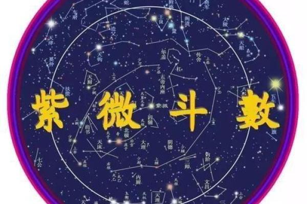 紫薇斗数看适合什么行业