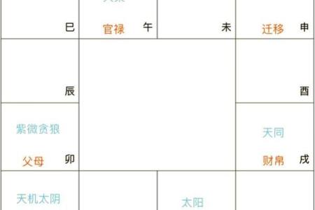 紫薇斗数不入格