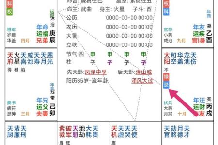 紫薇斗数太阴在戌