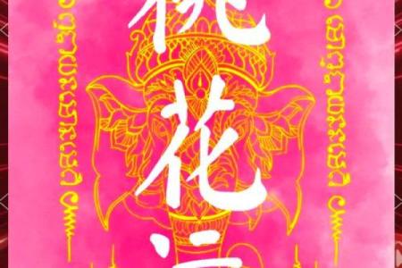 塔罗测试：光棍节前单身族要如何提升桃花运？