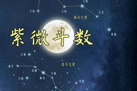 紫薇斗数4
