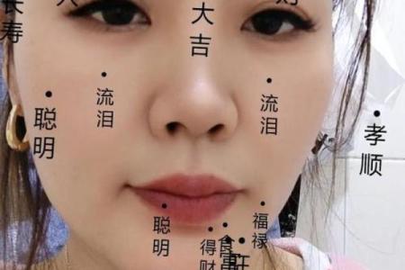 风水角度：柳叶眉女生的面相解释