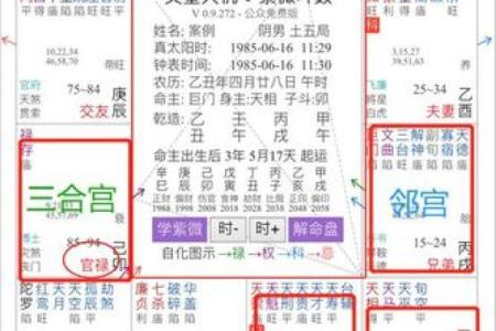 庄氏紫微斗数入门基础知识 庄氏资料？