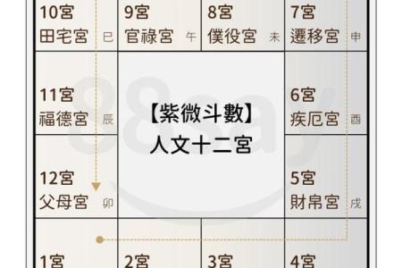 紫薇斗数排盘可靠吗