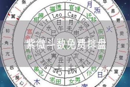 紫薇斗数排盘群