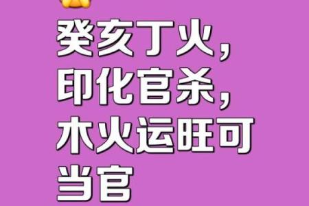 八字已卯