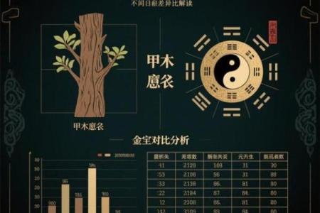 甲木八字
