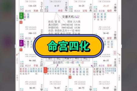 紫薇斗数变动的意思